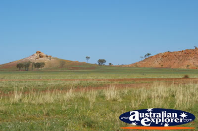 Red Dirt Road to Muttaburra . . . CLICK TO VIEW ALL LONGREACH POSTCARDS
