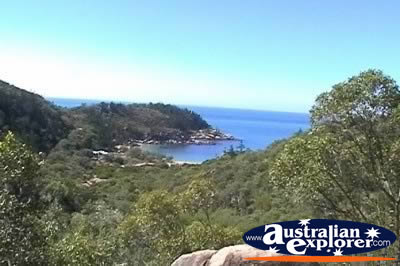 Magnetic Island Arthur Bay View . . . CLICK TO VIEW ALL MAGNETIC ISLAND POSTCARDS
