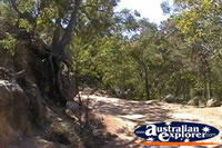 Fort Walking Trail on Magnetic Island  . . . CLICK TO ENLARGE