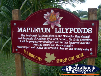 Mapleton Lilyponds Sign . . . CLICK TO VIEW ALL MAPLETON(LILYPONDS) POSTCARDS