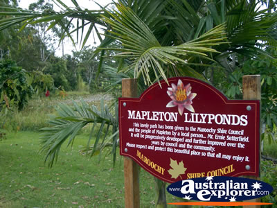 Mapleton Lilyponds Entrance . . . VIEW ALL MAPLETON(LILYPONDS) PHOTOGRAPHS