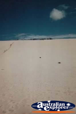 Moreton Island View . . . VIEW ALL MORETON ISLAND PHOTOGRAPHS