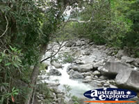 Mossman Gorge . . . CLICK TO ENLARGE