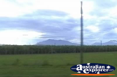 Mt Bartle Frere Landscape . . . CLICK TO VIEW ALL WALSHS PYRAMID POSTCARDS