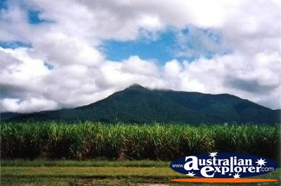 Landscape of Mt Bartle Frere . . . CLICK TO VIEW ALL WALSHS PYRAMID POSTCARDS