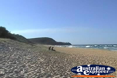 View of Noosa Main Beach . . . CLICK TO VIEW ALL NOOSA POSTCARDS
