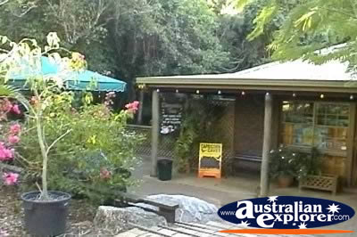 Olsens Capricorn Caves Cafe . . . CLICK TO VIEW ALL OLSENS CAPRICORN CAVES POSTCARDS