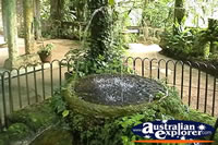 Paronella Park Fountain . . . CLICK TO ENLARGE