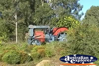 Rockhampton Heritage Village Tractor . . . CLICK TO ENLARGE