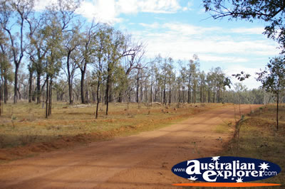 Red Dirt Road . . . CLICK TO VIEW ALL ROMA POSTCARDS