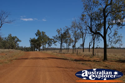 Red Dirt Track . . . CLICK TO VIEW ALL ROMA POSTCARDS