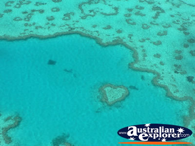 Heart Reef Birdseye View . . . CLICK TO VIEW ALL WHITSUNDAYS (HEART REEF) POSTCARDS