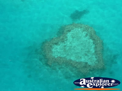 Beautiful Heart Reef . . . CLICK TO VIEW ALL WHITSUNDAYS (HEART REEF) POSTCARDS