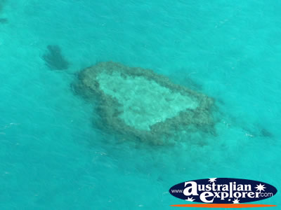 Heart Reef from a Seaplane . . . CLICK TO VIEW ALL WHITSUNDAYS (HEART REEF) POSTCARDS