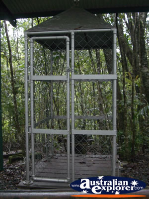 Skyrail Barron Falls History . . . VIEW ALL BARRON GORGE PHOTOGRAPHS