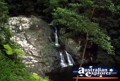 Springbrook View from Walk - Gold Coast Hinterland . . . CLICK TO VIEW ALL SPRINGBROOK POSTCARDS