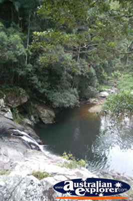 Springbrook Walk View in the Gold Coast Hinterland . . . CLICK TO VIEW ALL SPRINGBROOK POSTCARDS