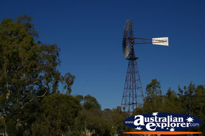 Jensen Place Windmill . . . CLICK TO VIEW ALL SPRINGSURE (JENSEN PLACE) POSTCARDS
