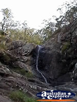 Tamborine Mountain Trickling Waterfall . . . CLICK TO ENLARGE