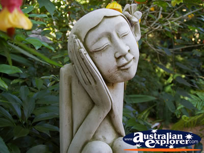 Beautiful Gardens in Tamborine Mountain . . . VIEW ALL TAMBORINE MOUNTAIN PHOTOGRAPHS