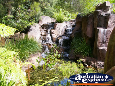 Waterfall by the Glow Worm Caves at Tamborine Mountain . . . CLICK TO VIEW ALL TAMBORINE MOUNTAIN (GLOW WORM CAVES) POSTCARDS