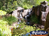 Waterfall by the Glow Worm Caves at Tamborine Mountain . . . CLICK TO ENLARGE