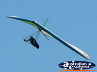 Hand glider in the air off Tamborine Mountain . . . CLICK TO ENLARGE