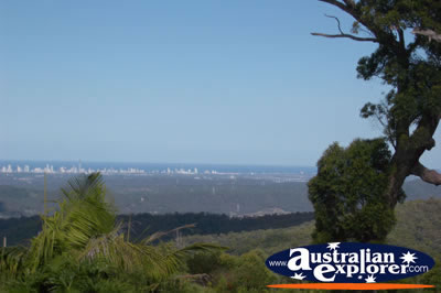 Gold Coast Hinterland Scenic Views from Tamborine Mountain Lookout . . . CLICK TO VIEW ALL TAMBORINE MOUNTAIN (LOOKOUT) POSTCARDS