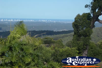 Gold Coast Hinterland Landscape from Tamborine Mountain Lookout . . . CLICK TO VIEW ALL TAMBORINE MOUNTAIN (LOOKOUT) POSTCARDS
