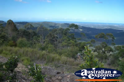 Gold Coast Hinterland Views from Tamborine Mountain Lookout . . . CLICK TO VIEW ALL TAMBORINE MOUNTAIN (LOOKOUT) POSTCARDS