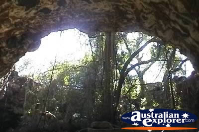 Undara Lava Tubes Opening . . . CLICK TO VIEW ALL UNDARA LAVA TUBES (MORE) POSTCARDS
