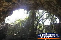 Undara Lava Tubes Opening . . . CLICK TO ENLARGE