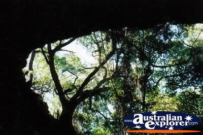 Undara Lava Tubes View from Inside . . . CLICK TO VIEW ALL UNDARA LAVA TUBES POSTCARDS