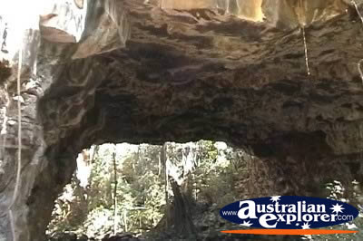 Undara Lava Tubes View from Outside . . . CLICK TO VIEW ALL UNDARA LAVA TUBES (MORE) POSTCARDS