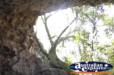 View of Outside of the Undara Lava Tubes . . . CLICK TO VIEW ALL UNDARA LAVA TUBES (MORE) POSTCARDS