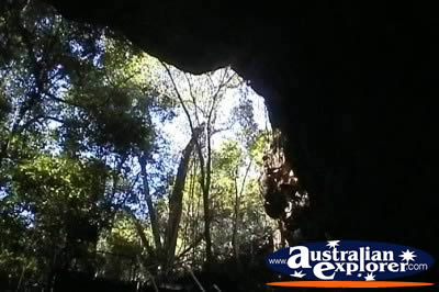 Undara Lava Tubes View of Outside . . . CLICK TO VIEW ALL UNDARA LAVA TUBES POSTCARDS