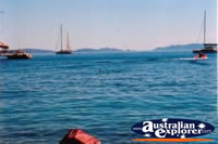 Whitsundays Hayman Island Blue Pearl Bay . . . CLICK TO ENLARGE