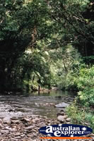 Creek in Wooboodda . . . CLICK TO ENLARGE