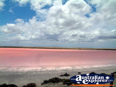 Pink Lake Between Tailem Bend and Strathalbyn . . . VIEW ALL STRATHALBYN PHOTOGRAPHS