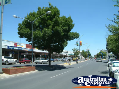 View Down Naracoorte Street . . . CLICK TO VIEW ALL NARACOORTE POSTCARDS