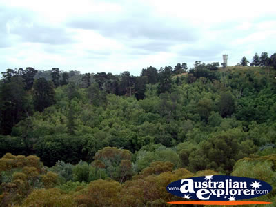 Blue Lake Bush in Mount Gambier . . . VIEW ALL MOUNT GAMBIER PHOTOGRAPHS