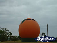Big Orange near Berri . . . CLICK TO ENLARGE