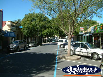 View Down Mt Barker Street . . . CLICK TO VIEW ALL MT BARKER POSTCARDS