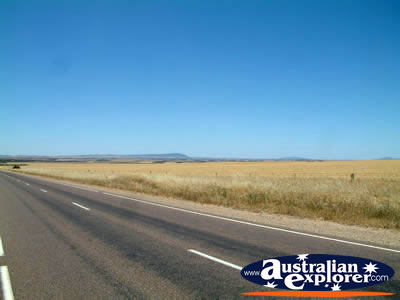 View of Road between Kyancutta & Kimba . . . CLICK TO VIEW ALL KIMBA POSTCARDS