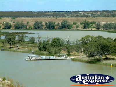 Ferry Just Outside of Swan Reach . . . CLICK TO VIEW ALL SWAN REACH POSTCARDS