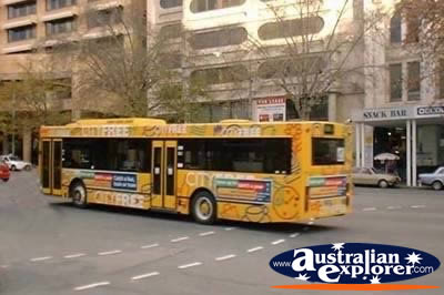 Adelaide Bus . . . CLICK TO VIEW ALL ADELAIDE POSTCARDS