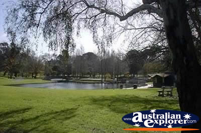 Adelaide Rymill Park . . . CLICK TO VIEW ALL ADELAIDE POSTCARDS