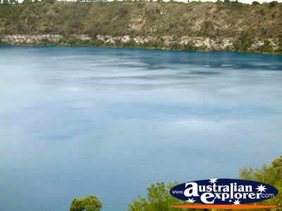 Mount Gambier Blue Lake Bush . . . CLICK TO VIEW ALL MOUNT GAMBIER POSTCARDS