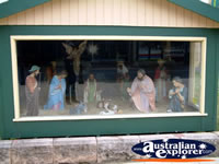 Mount Gambier Christmas Display . . . CLICK TO ENLARGE