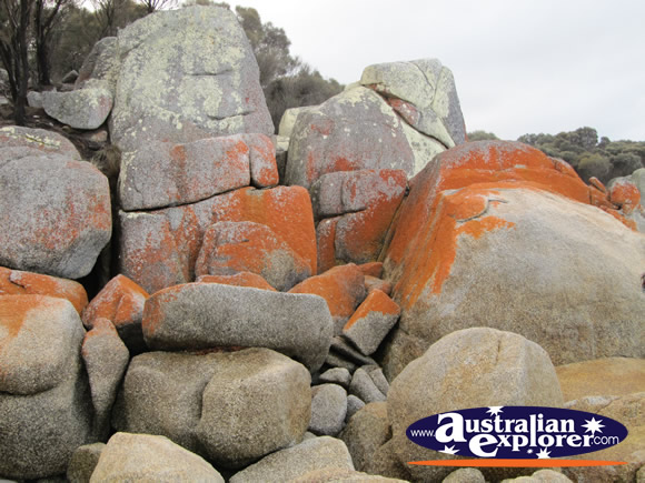 Rocks at Bay of Fires . . . VIEW ALL BAY OF FIRES PHOTOGRAPHS